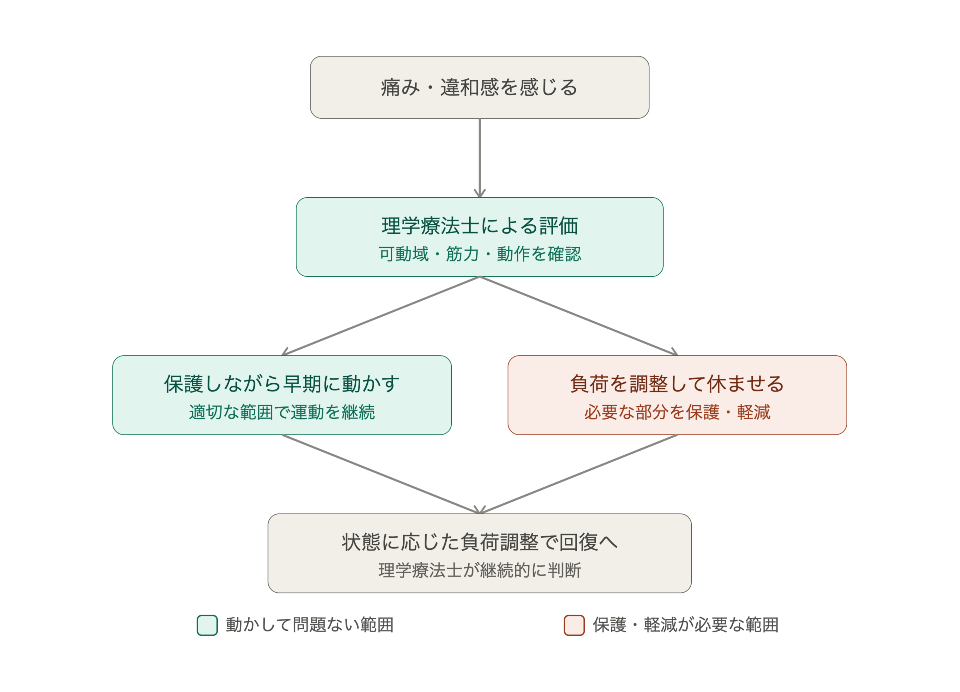 痛みとトレーニングの判断をできる専門家トレーナーの存在が重要